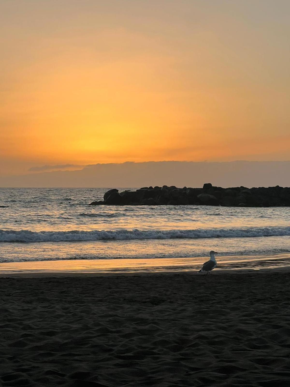 Apartamento En Primera Linea De Playa, Centrico, Tranquilo Playa de las Americas  Luaran gambar